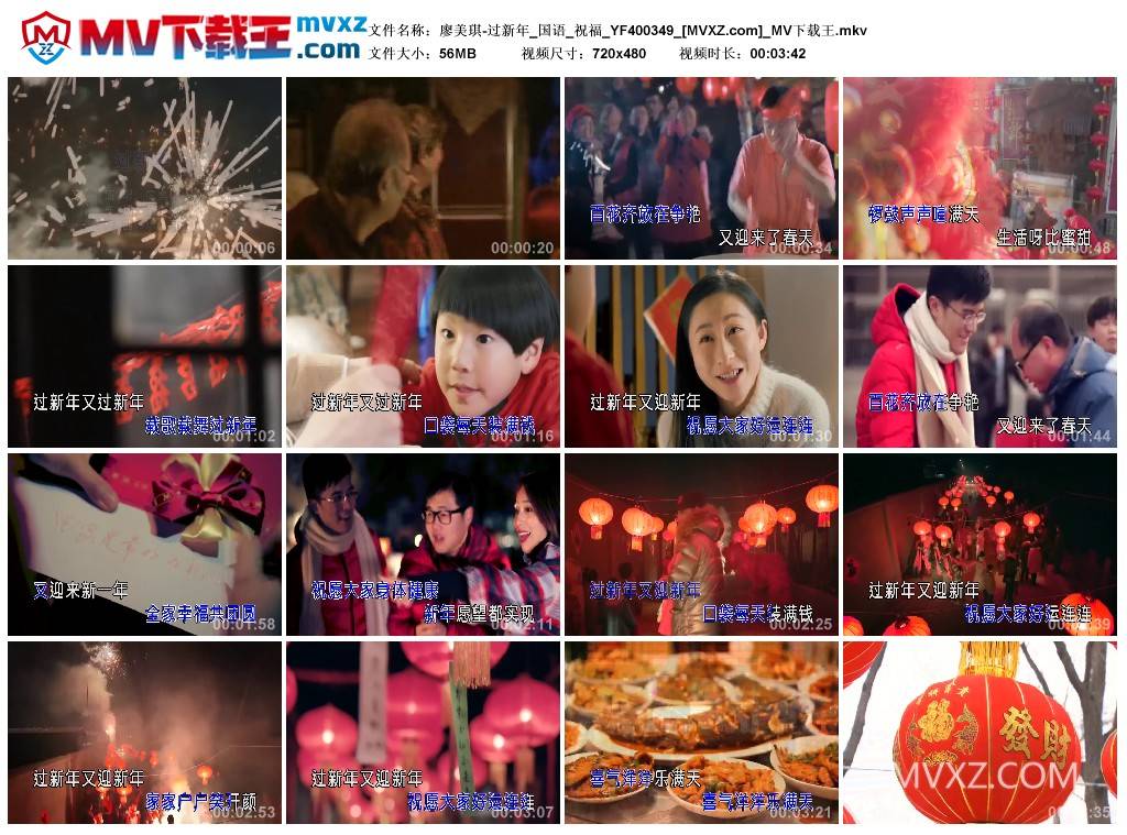 廖美琪-过新年_国语_祝福_YF400349